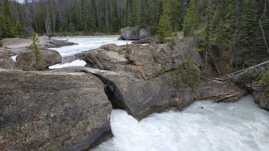 IMG_20190703_152147.jpg?type=w1