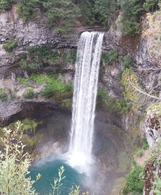 2015-08-08_09.42.27.jpg?type=w2