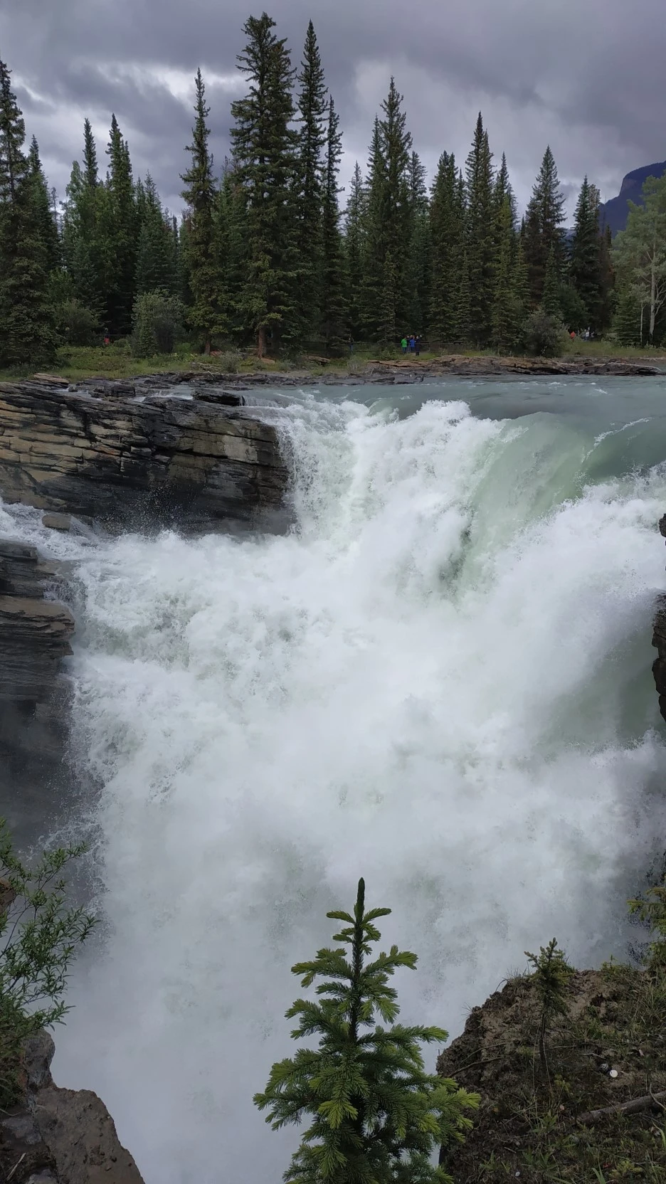 IMG_20190704_152938.jpg?type=w1