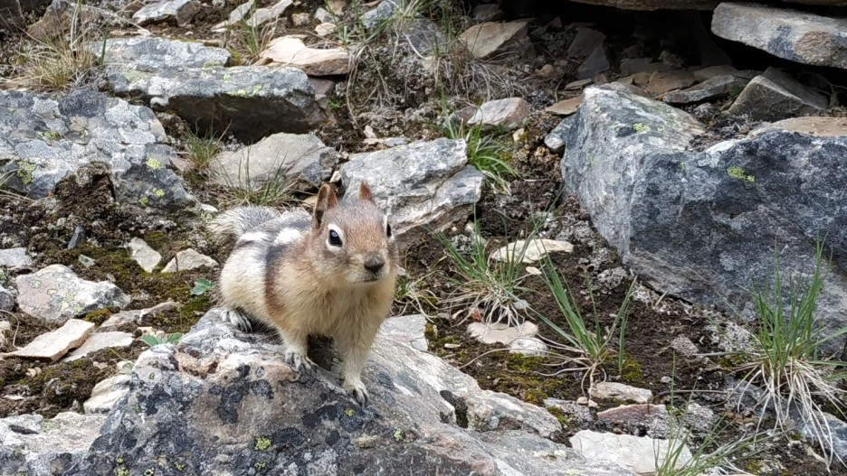 SE-720f749a-71c9-40a7-aee9-a149044a5024.jpg?type=w1