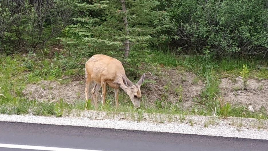 SE-d8507a65-c76d-461f-809f-09788aa6748e.jpg?type=w1