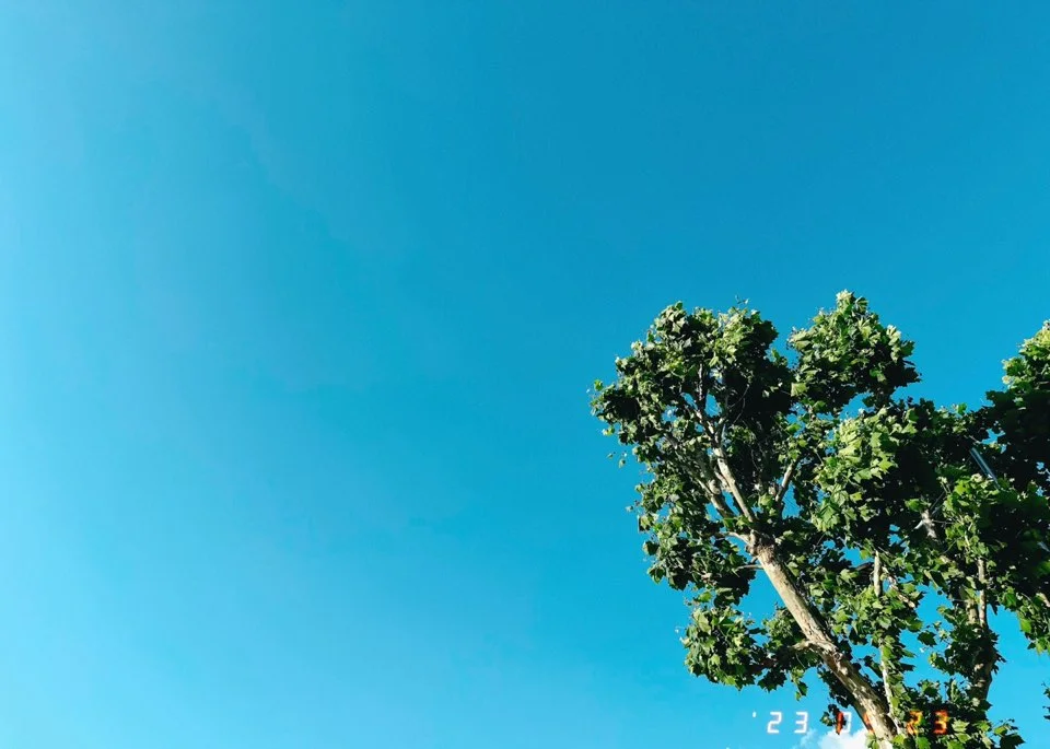 KakaoTalk_20230524_220603163.jpg?type=w966