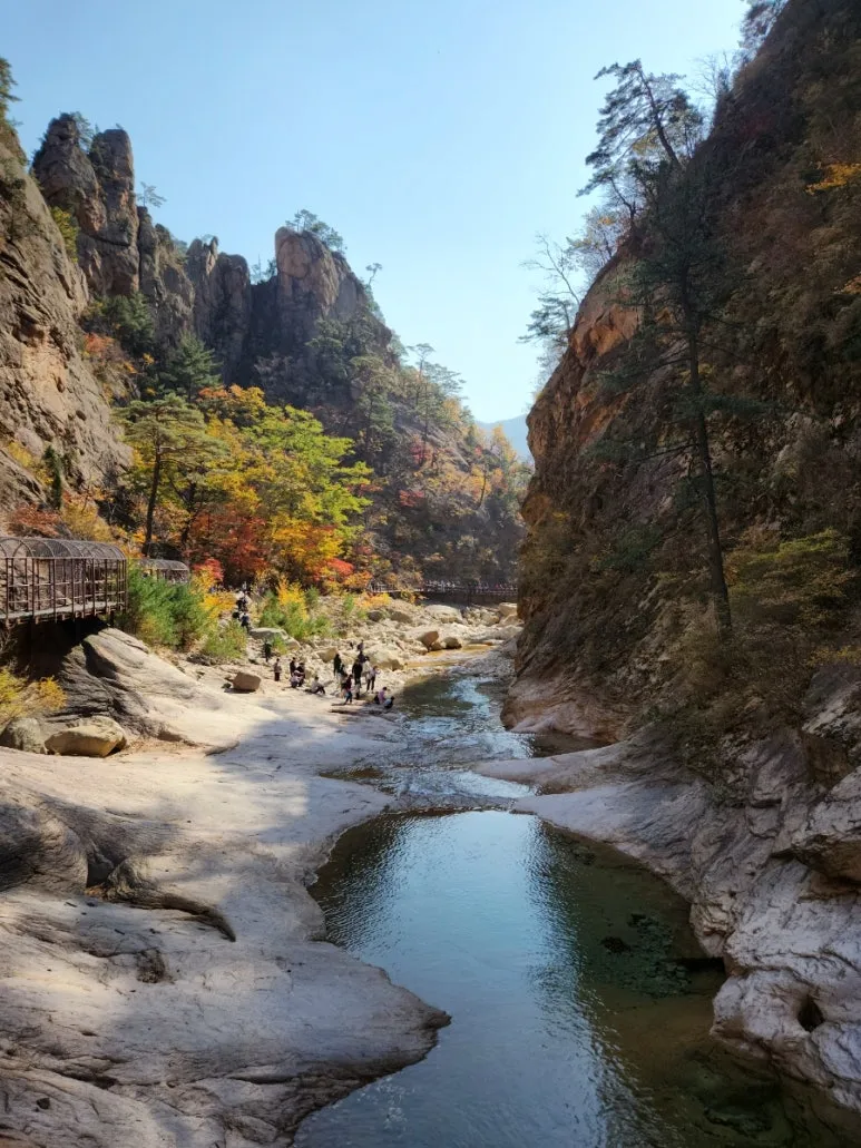 20221022%EF%BC%BF112532.jpg?type=w773