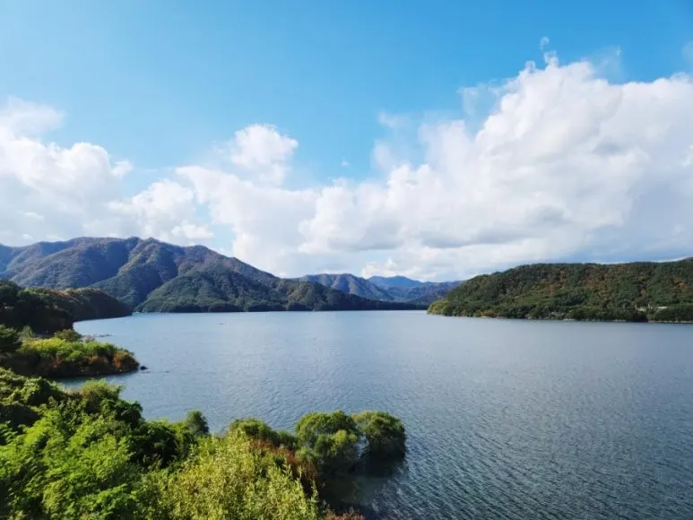 1666573596622.jpg?type=w773