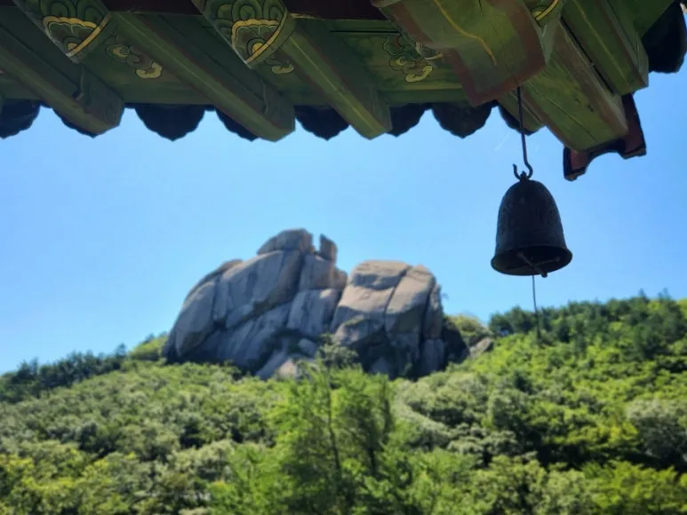 20220908%EF%BC%BF110320.jpg?type=w773