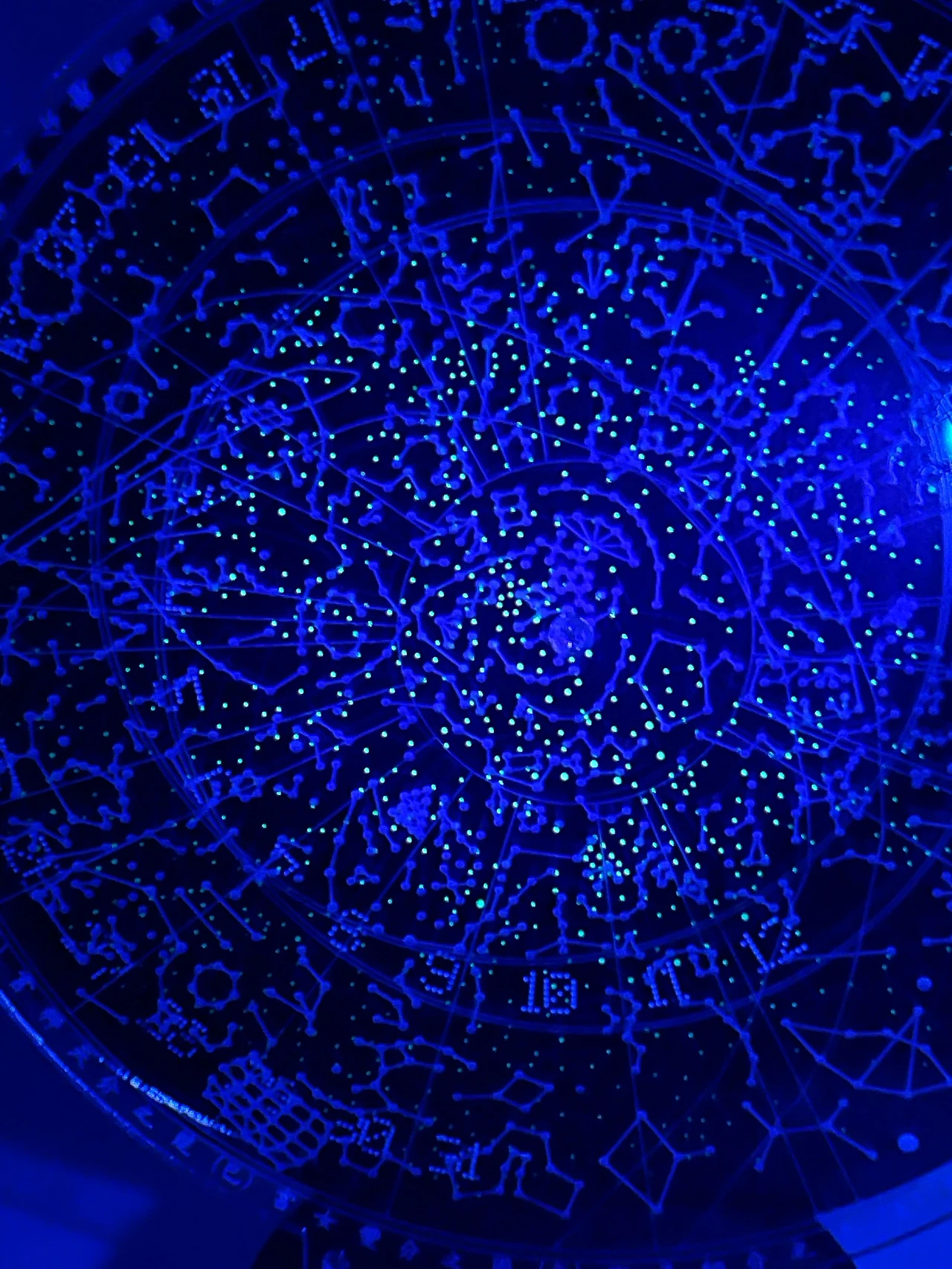 81DF191C-ACF9-41EA-BB8E-128DD4A3195F.jpg?type=w1600