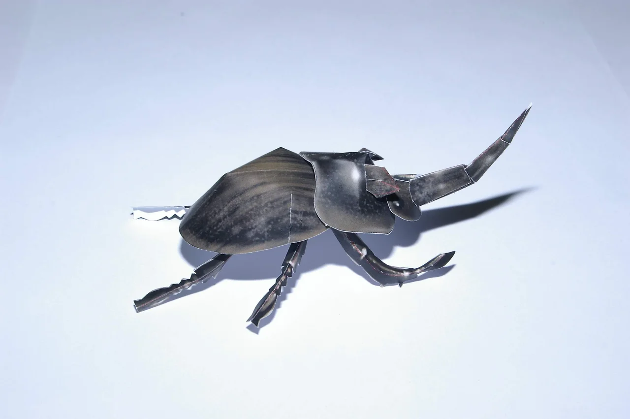 GERAua5a4AAcZx8?format=jpg&name=4096x4096