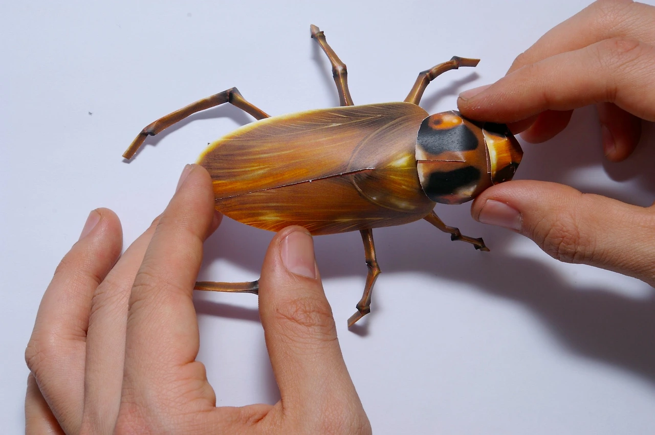 421042149_25213569388227339_6870561774547270394_n.jpg?_nc_cat=109&ccb=1-7&_nc_sid=3635dc&_nc_ohc=Hbq8j15t6EkAX8Ocnge&_nc_ht=scontent-ssn1-1.xx&oh=00_AfBNbliSunO8V2qSkj2hIy6evfvzYbykUDOu351Xu2z3ww&oe=65B34712