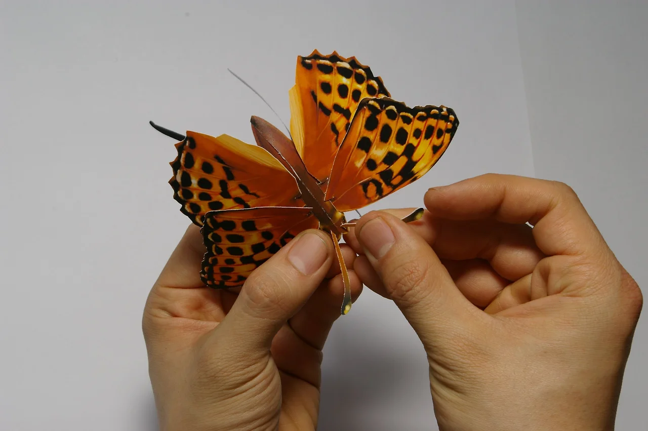 GEQ-TUkasAAVk6B?format=jpg&name=4096x4096