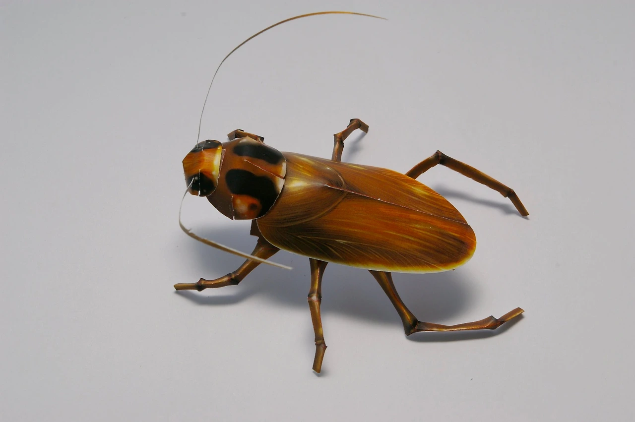 421095387_25213568314894113_3085843086097517194_n.jpg?_nc_cat=103&ccb=1-7&_nc_sid=3635dc&_nc_ohc=5DAX5EZIttYAX8Z3x8N&_nc_ht=scontent-ssn1-1.xx&oh=00_AfDYcUoqlQbYoSB_qgKkjincftvmckmcKQCML3YTmSZhFg&oe=65B240D5