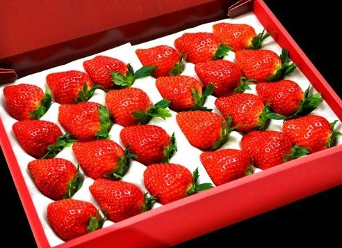 heartberry_n89n5bxm2w.jpg?type=w580