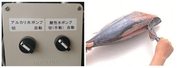 %EC%95%8C%EC%B9%B4%EB%A6%AC_%EA%B0%80%EC%AF%94%EC%98%A4.jpg?type=w580