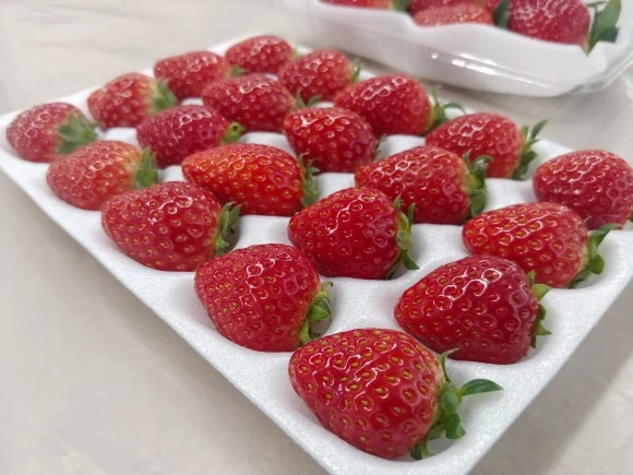 20180118_113554.jpg?type=w580