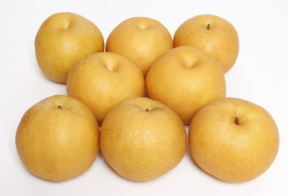 _MG_0751-t.jpg?type=w580