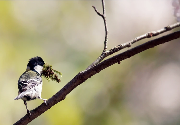 %EC%8A%A4%ED%81%AC%EB%A6%B0%EC%83%B7_2019-02-18_%EC%98%A4%ED%9B%84_6.31.08.png?type=w1