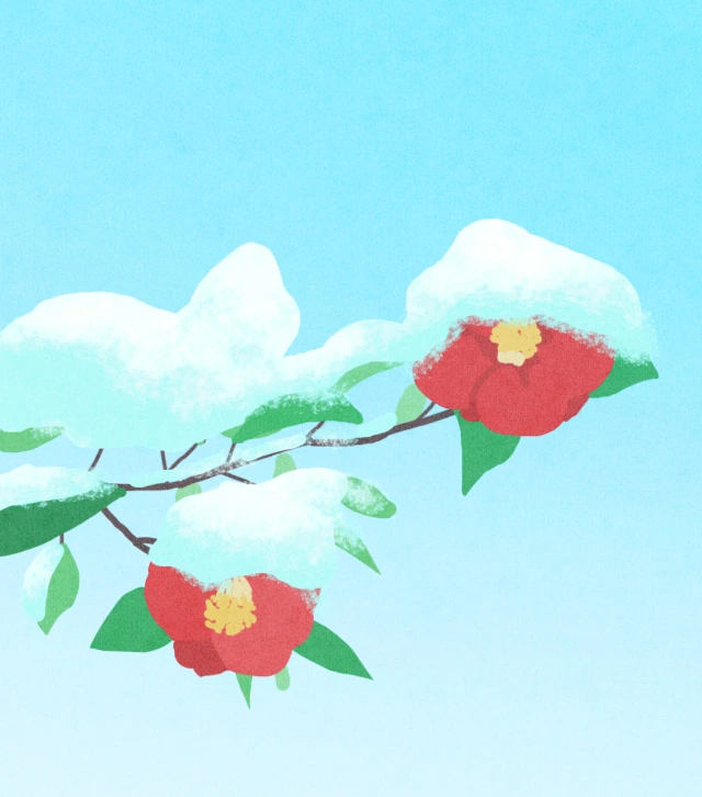 즉문즉설_겨울을 어떻게보낼것인가(정)_이다솜.jpeg