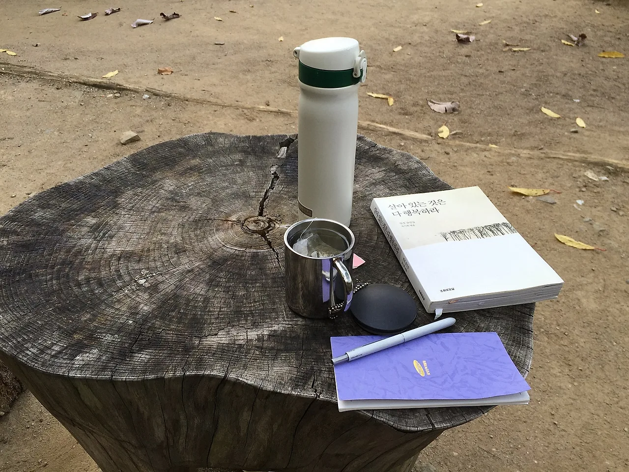 %EB%B6%88%EC%9D%BC%EC%95%94_%ED%98%84%EC%9E%A5%EB%8F%85%EC%84%9C3.JPG?type=w1600