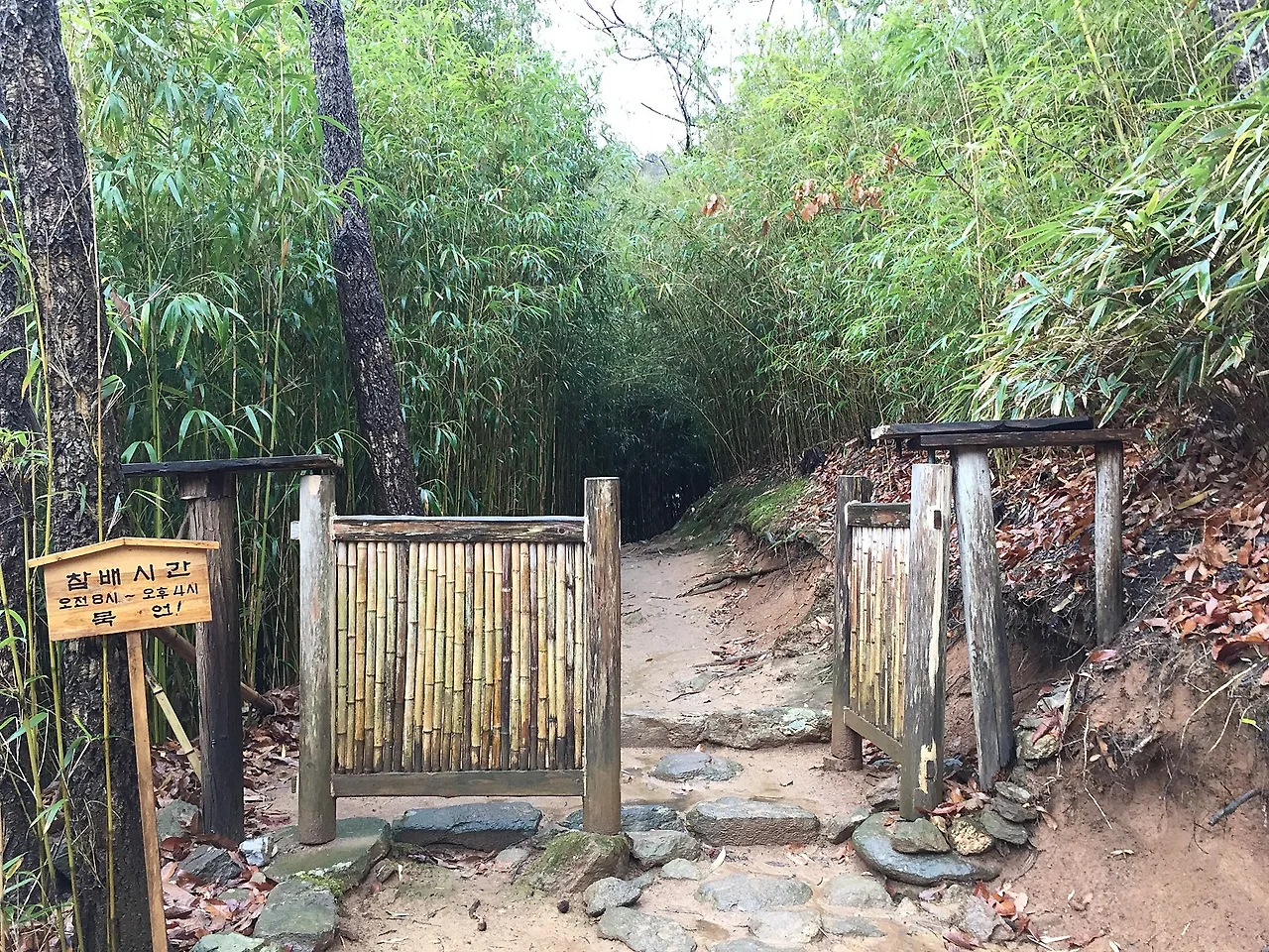 %EB%B6%88%EC%9D%BC%EC%95%94_%ED%98%84%EC%9E%A5%EB%8F%85%EC%84%9C0-2.JPG?type=w1600