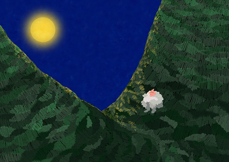 little cloud rmrm014_rs900.jpg