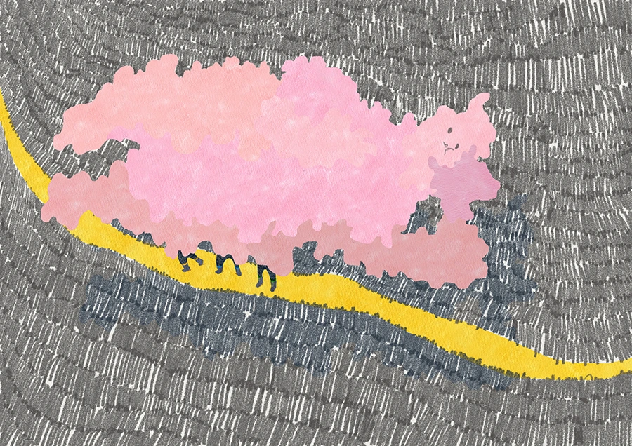 little cloud rmrm005_rs900.jpg