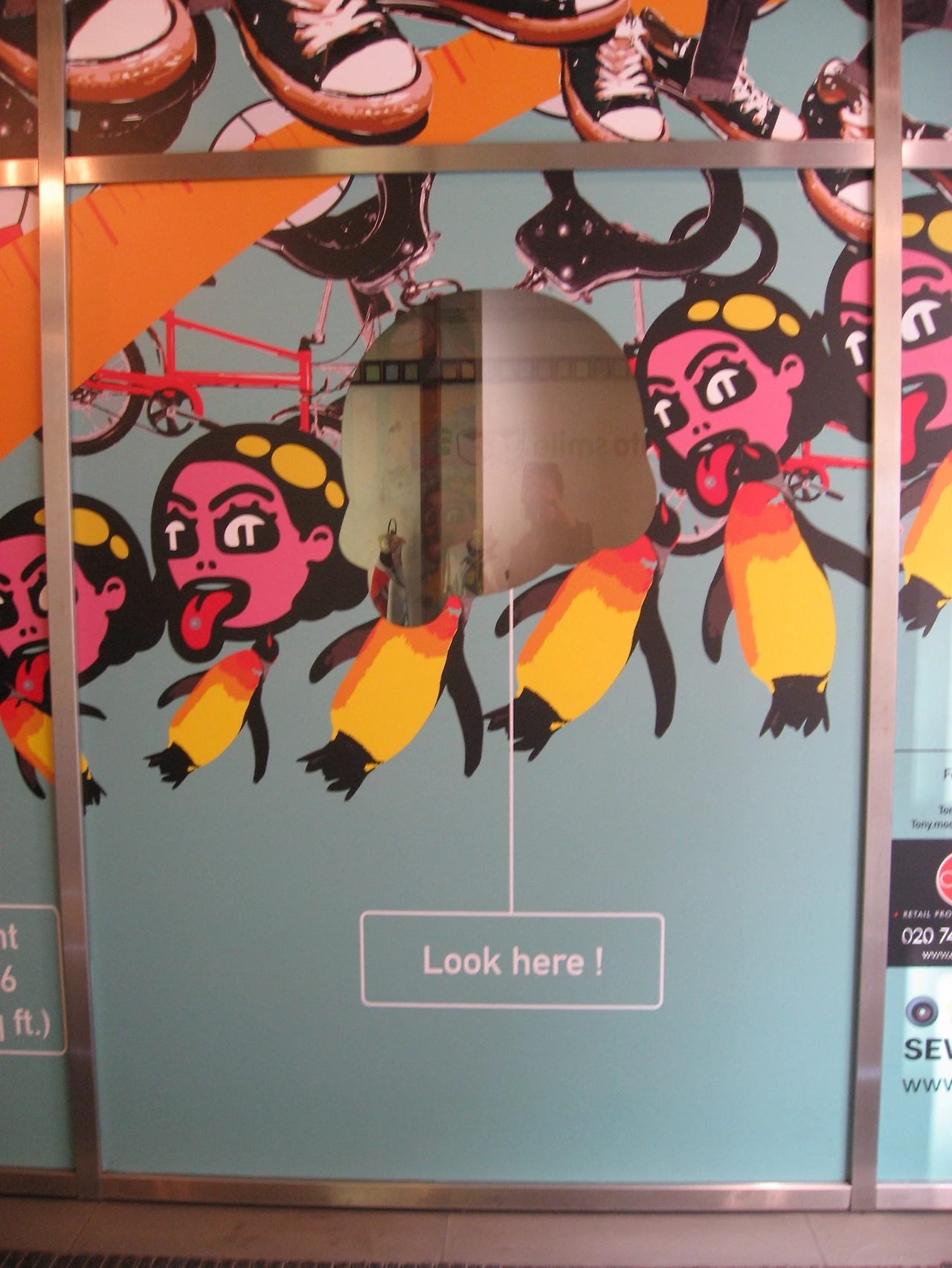 들여다 보기02.JPG