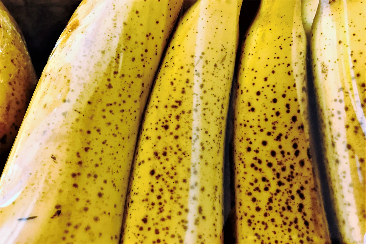 IMG_0397 (편집됨).JPG