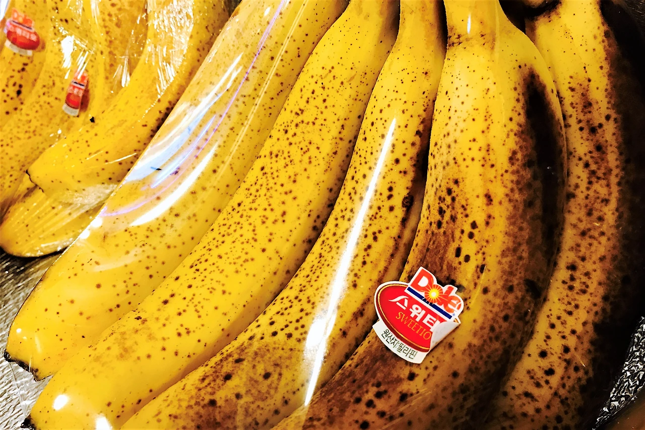 IMG_0396 (편집됨).JPG