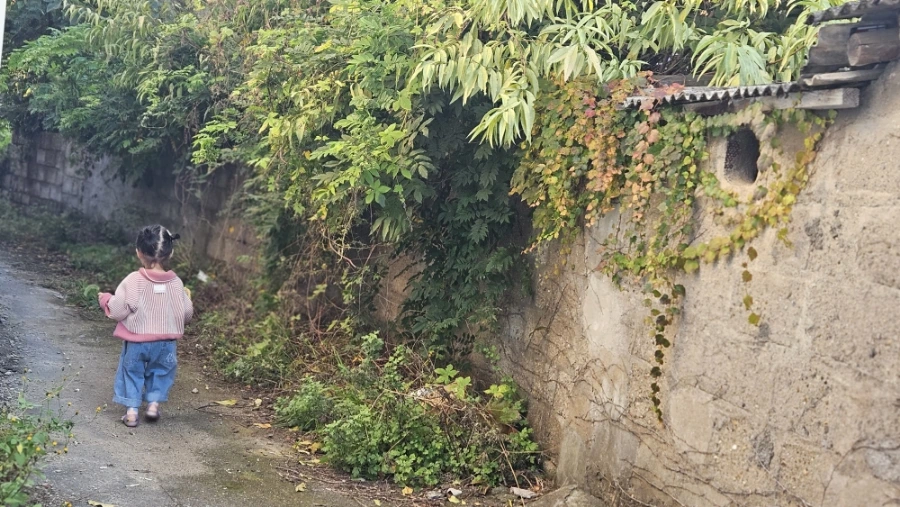 20241030%EF%BC%BF164147.jpg?type=w1