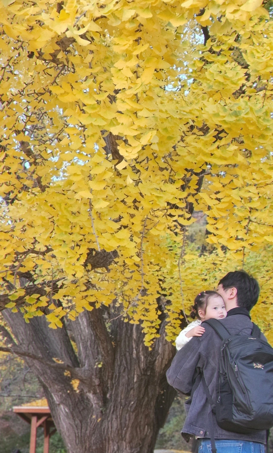 900%EF%BC%BFSNOW%EF%BC%BF20241116%EF%BC%BF174805%EF%BC%BF388.jpg?type=w1