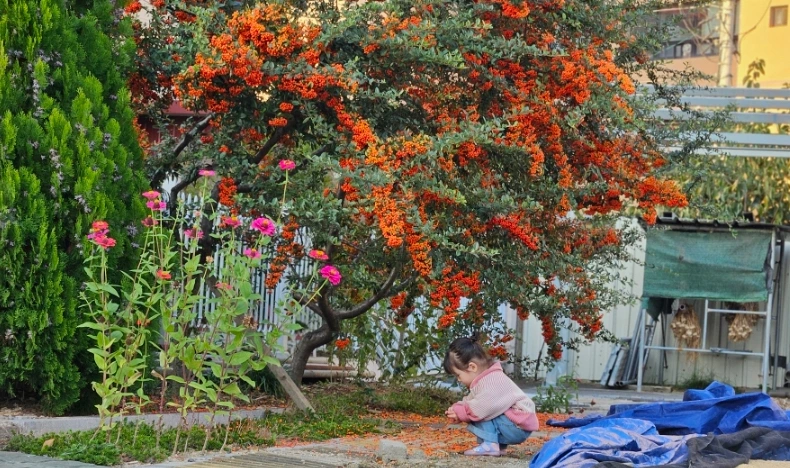 SE-33f99dbb-9bd9-11ef-896b-552165c29efd.jpg?type=w1