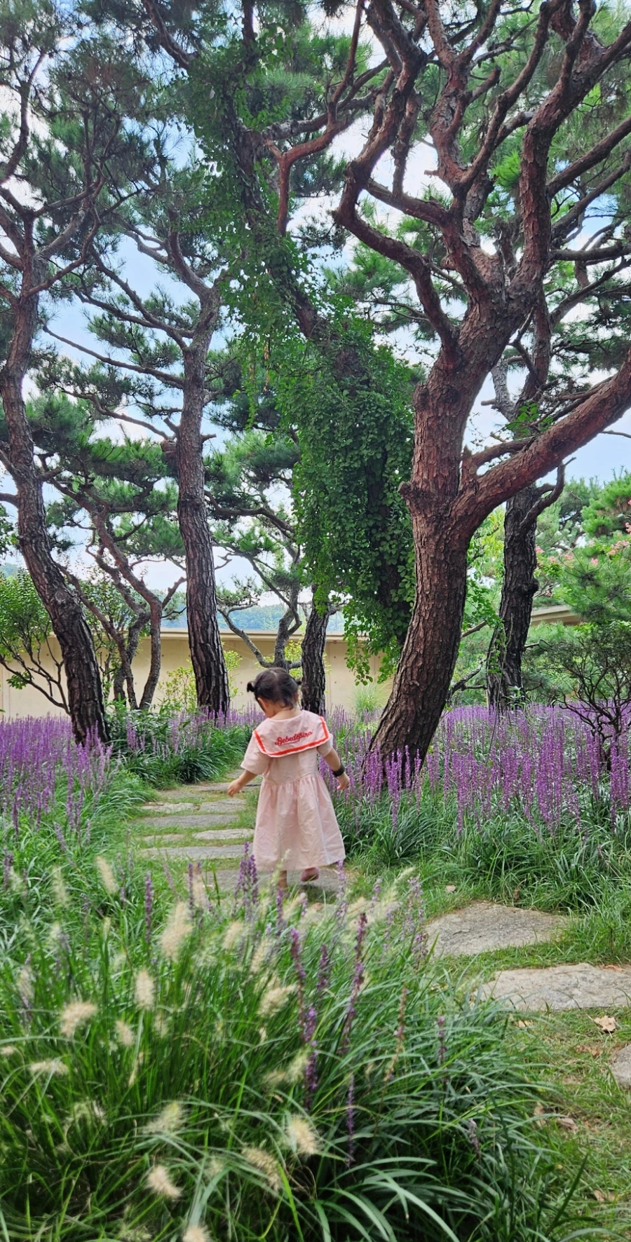 SNOW%EF%BC%BF20240901%EF%BC%BF161824%EF%BC%BF997.jpg?type=w1