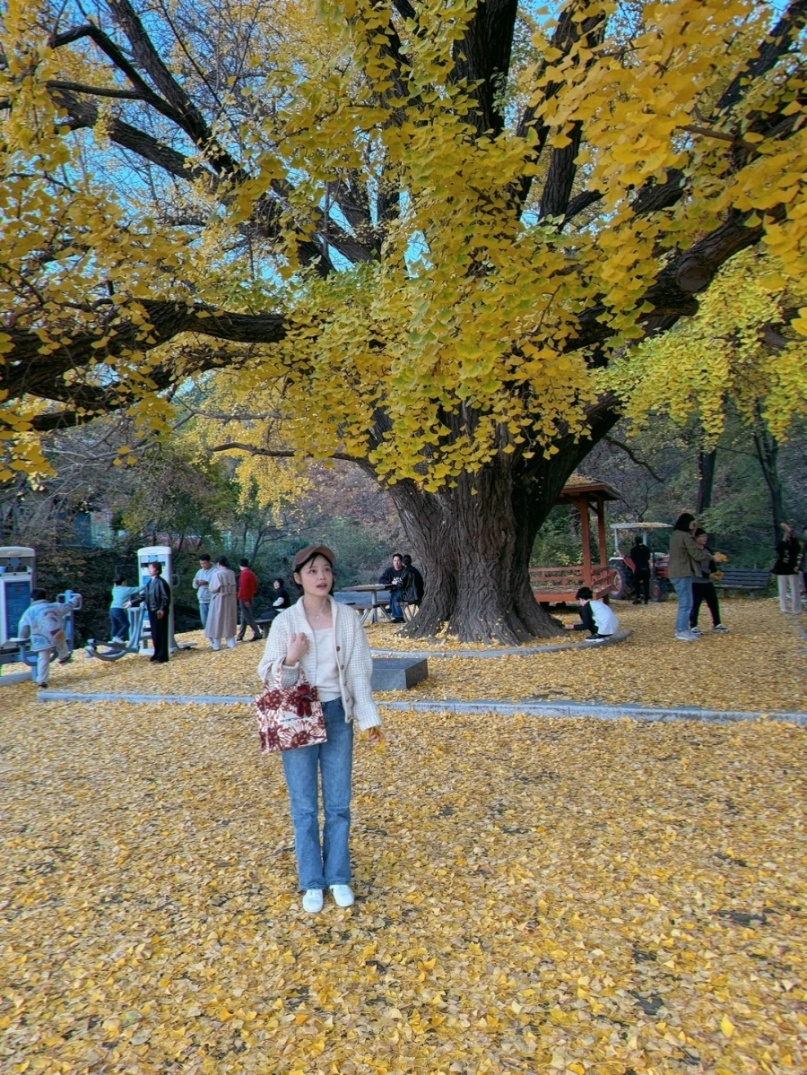 900%EF%BC%BFSNOW%EF%BC%BF20241116%EF%BC%BF203402%EF%BC%BF886.jpg?type=w1