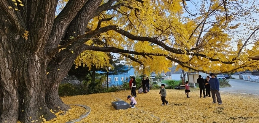 1732775178033.jpg?type=w1