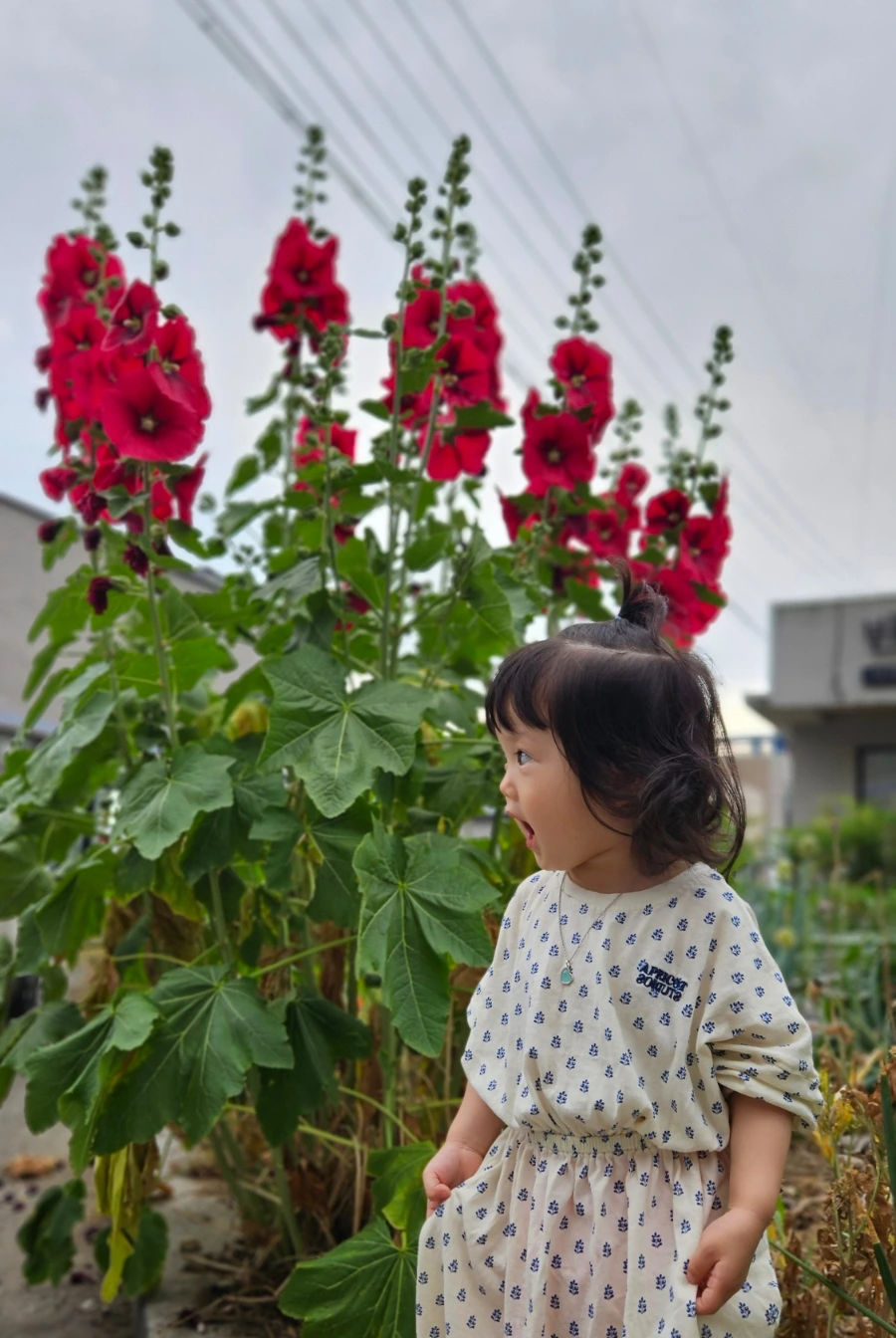 SE-38dad899-2473-11ef-9d43-ab10bc64647a.jpg?type=w1