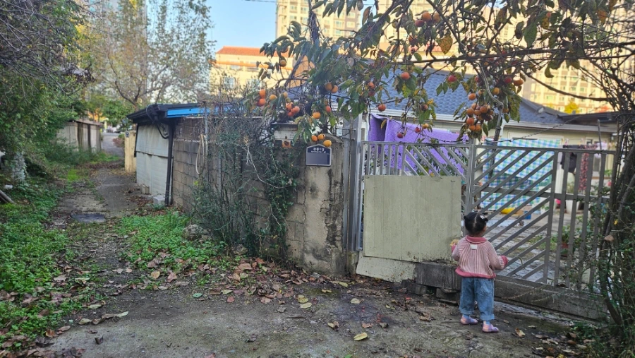 SE-33f2e6f6-9bd9-11ef-896b-736a50b98324.jpg?type=w1