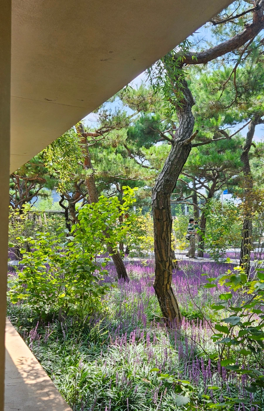 SE-610628ff-68f3-11ef-9bb3-49ef6234e21e.jpg?type=w1