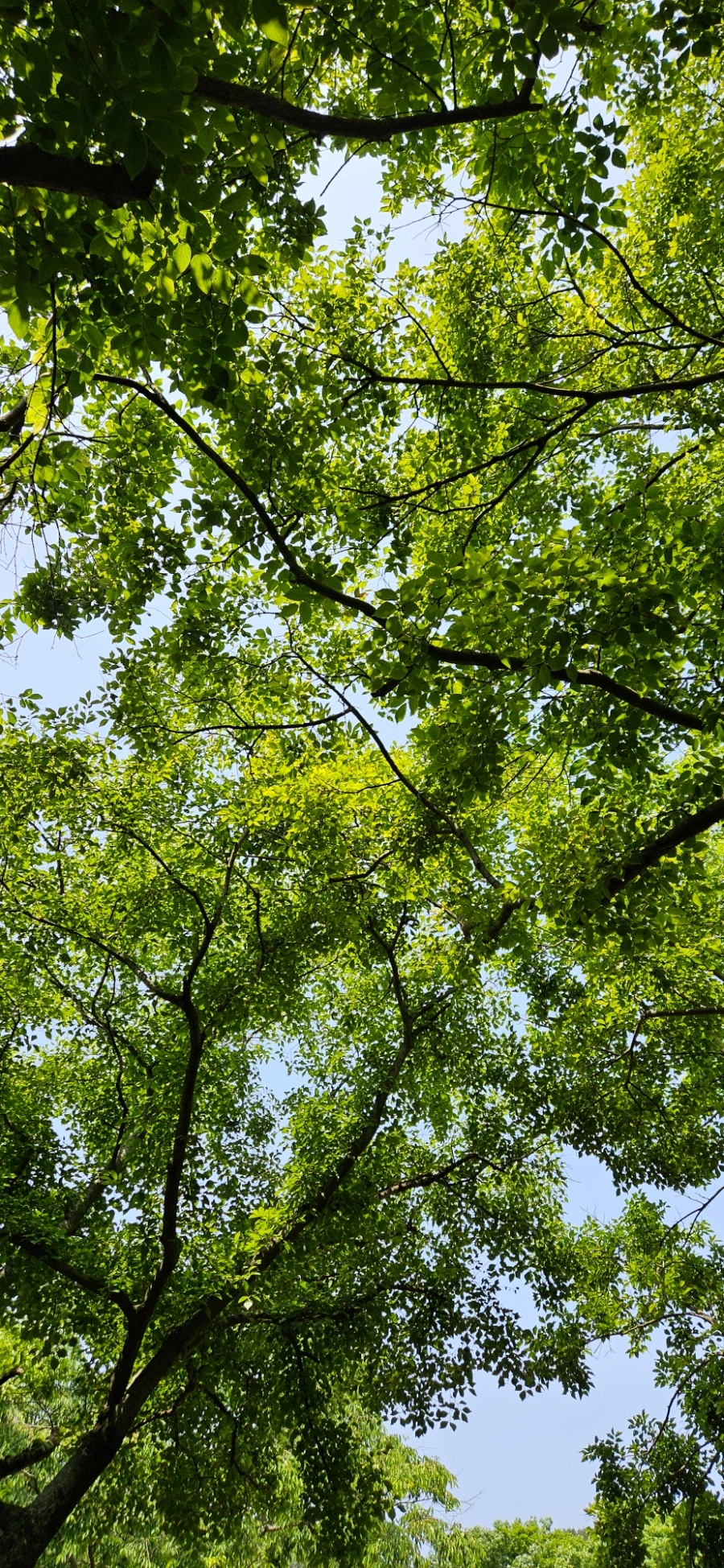 20240525%EF%BC%BF105617.jpg?type=w1