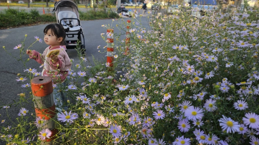 20241030%EF%BC%BF163132.jpg?type=w1