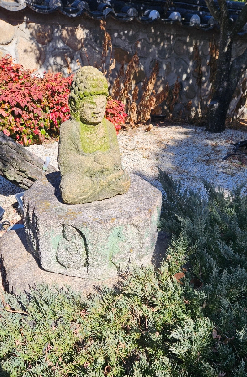 SE-116eb831-d4d8-40da-8bd7-f59ea9a1abf1.jpg?type=w1