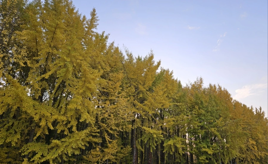 20241113%EF%BC%BF170741.jpg?type=w1