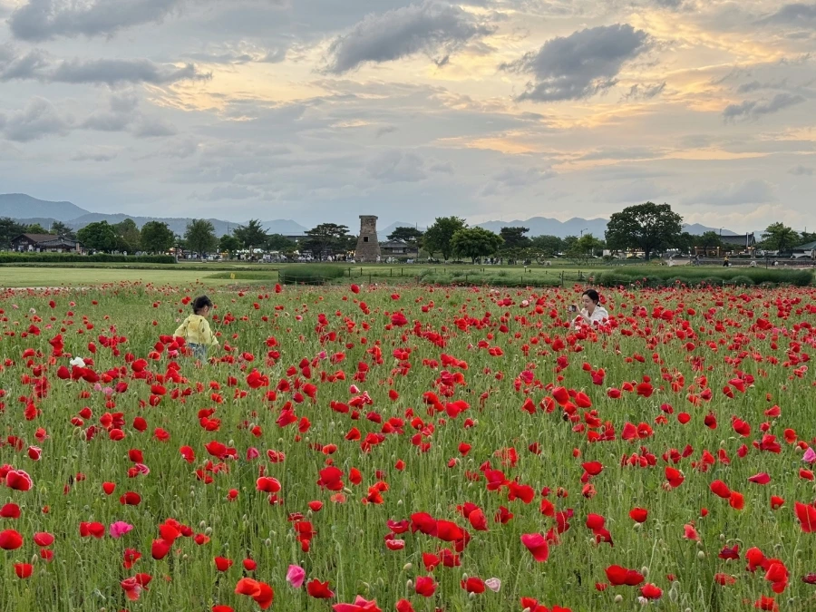 1715437943530.jpg?type=w1