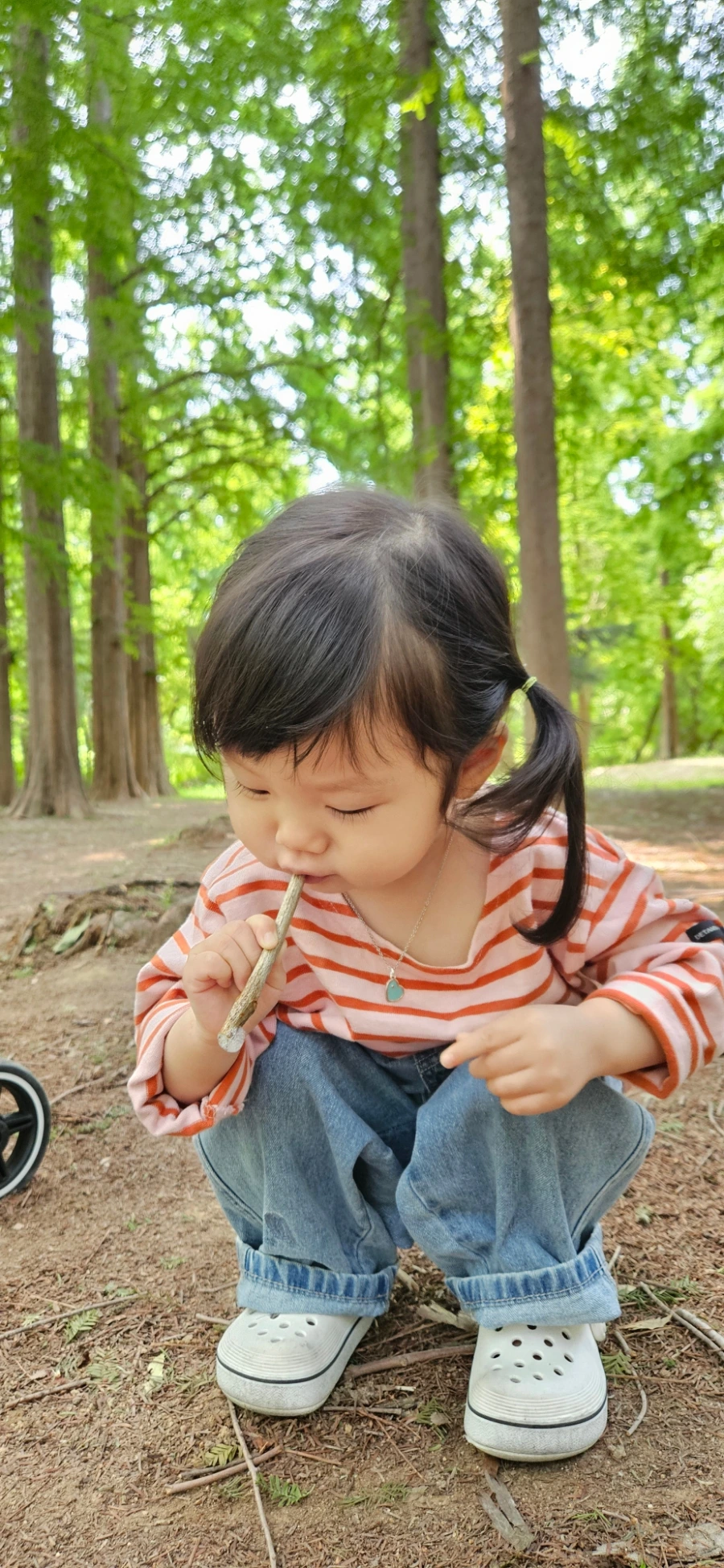 20240525%EF%BC%BF104141.jpg?type=w1