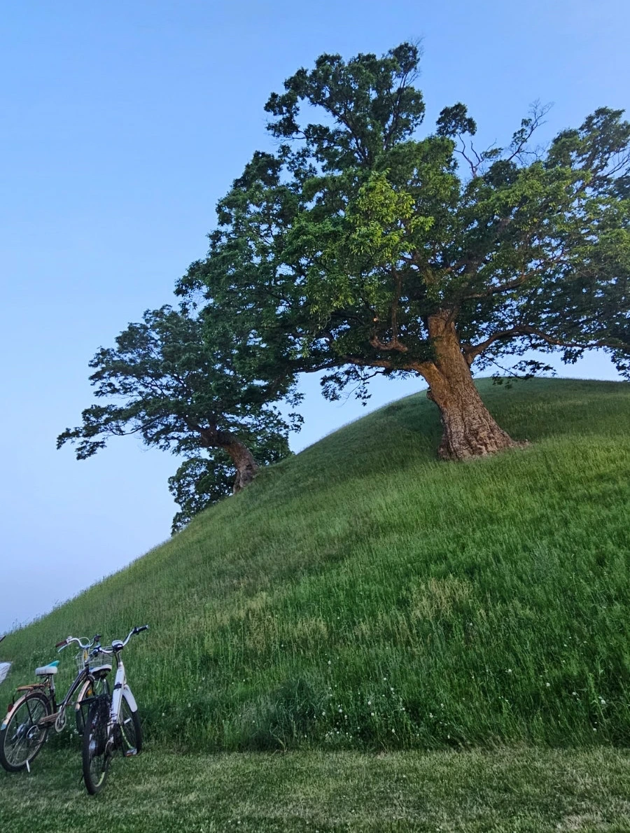 SE-c5dbf11c-63b8-480b-b81a-0fc300f7ad76.jpg?type=w1