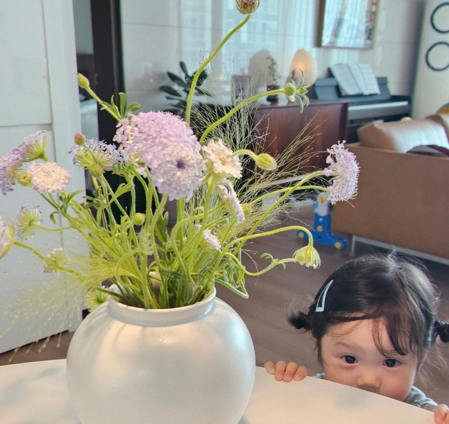 SE-95aa601e-b061-4a52-a2b3-af66839d0e64.jpg?type=w1