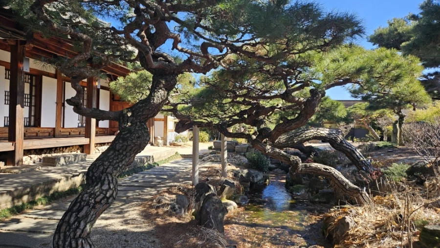 900%EF%BC%BF20250220%EF%BC%BF111744.jpg?type=w1