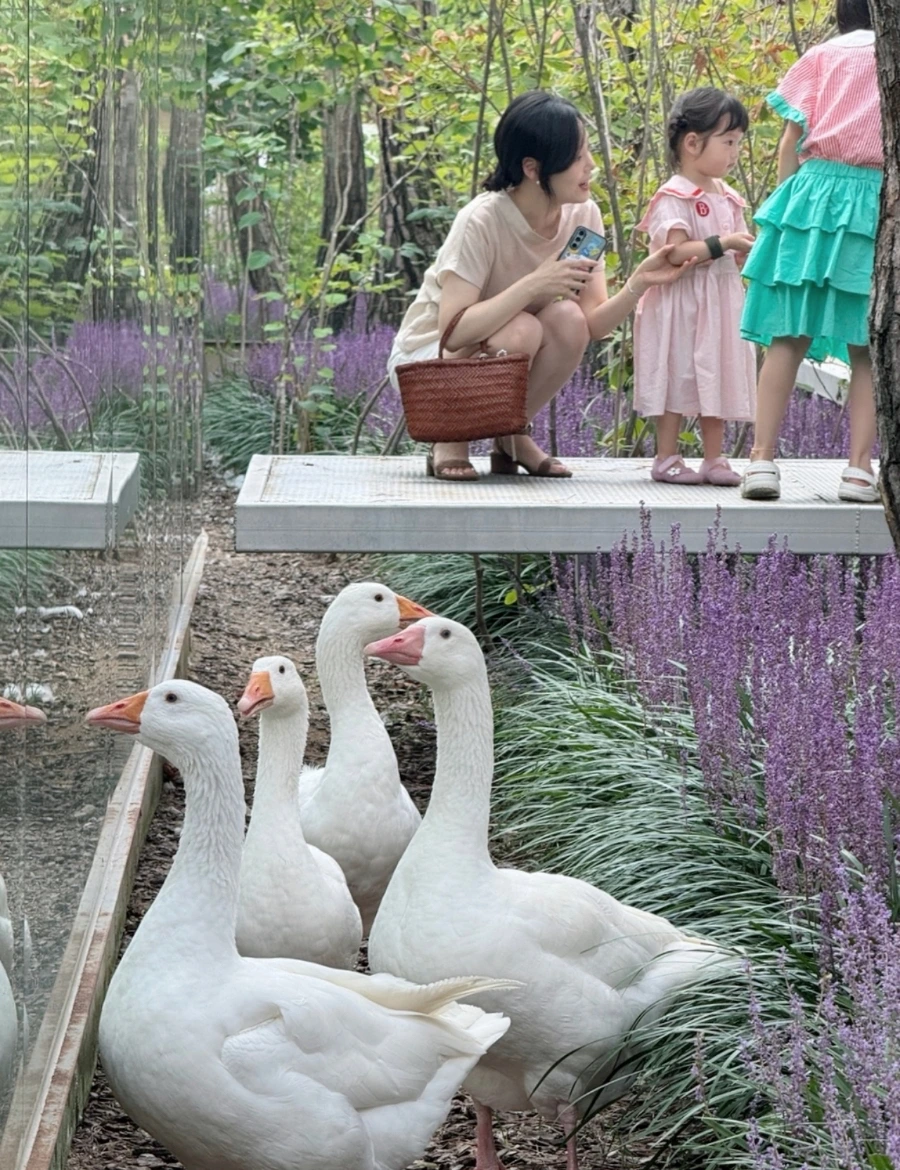 SE-3a133985-40ca-4331-8d2e-8b7fa7c342d2.jpg?type=w1