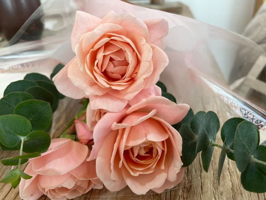 900%EF%BC%BF1741251416448.jpg?type=w1