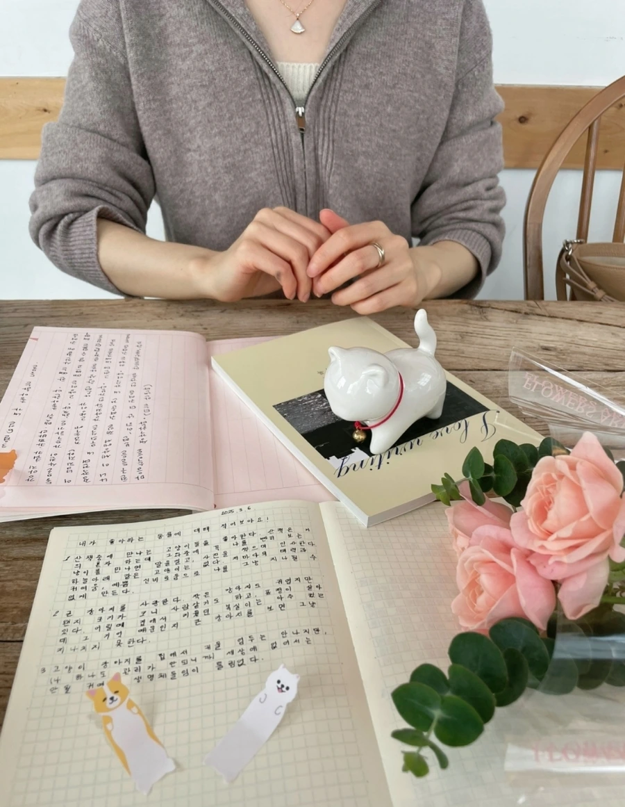 900%EF%BC%BFSNOW%EF%BC%BF20250306%EF%BC%BF203146%EF%BC%BF090.jpg?type=w1