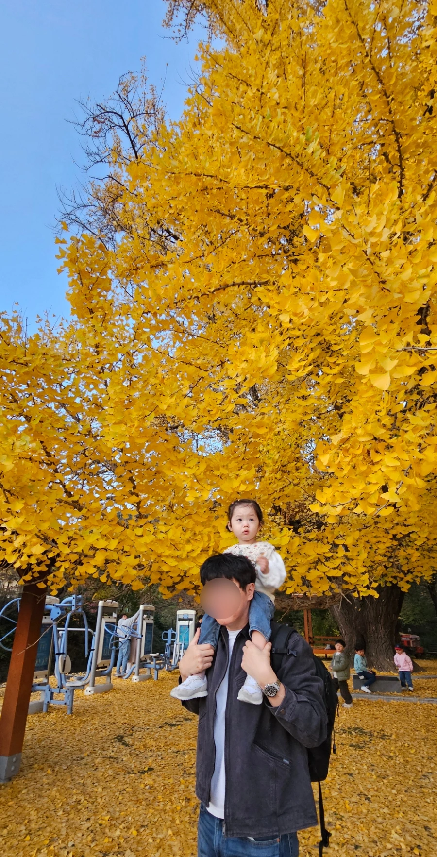 SE-6d27e98e-ad47-11ef-bd24-8ba5be8c85d7.jpg?type=w1