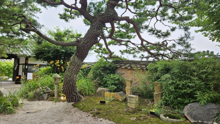 20240707%EF%BC%BF140822.jpg?type=w1